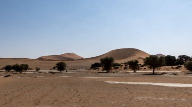 Sossusvlei Dunes