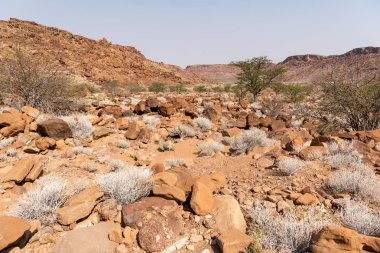 Namibya ülkesindeki Twyfelfontein
