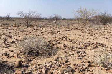 Namibya ülkesindeki Twyfelfontein