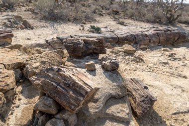 Namibya ülkesindeki Twyfelfontein