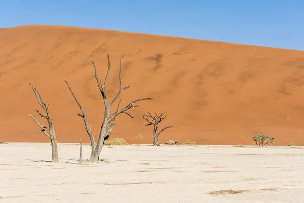 Die Abenteuerliche Wüste Namibia — Stockfoto