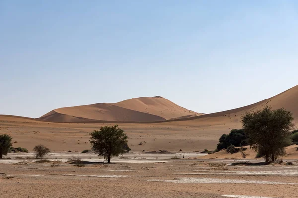 Las Dunas Sossusvlei —  Fotos de Stock