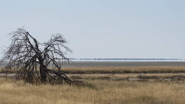 Paisaje África — Foto de Stock