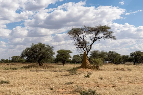 纳米比亚的风景 — 图库照片