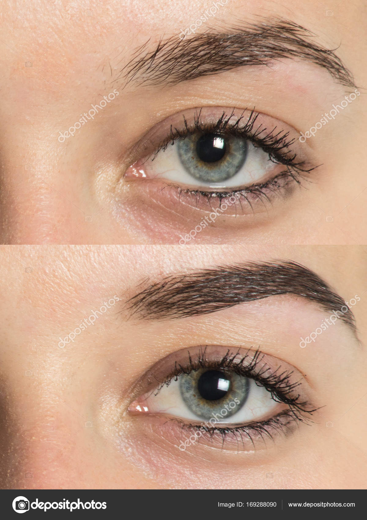 Before After Eyebrows Stock Image