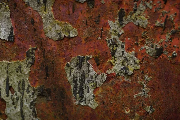 Фон ржавого металла — стоковое фото