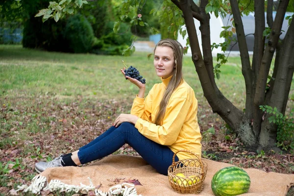 Druiven in de tuin — Stockfoto