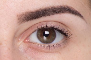 göz yüzünü kapatmak