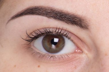 göz yüzünü kapatmak