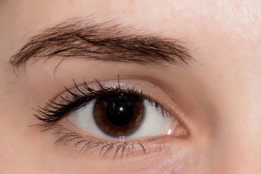 göz yüzünü kapatmak