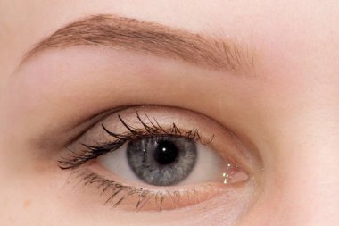 göz yüzünü kapatmak