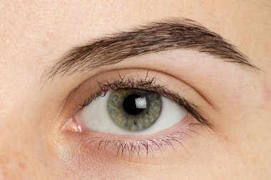 Kadar adam gözünü kapat