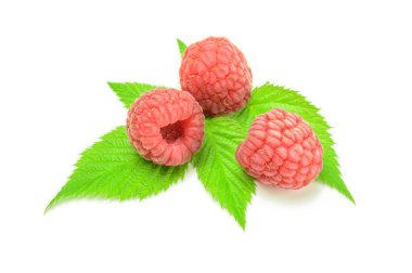 Olgun ahududu yeşil yaprak ile