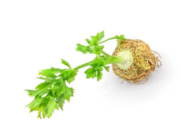 Fresh celery with root leaf on white background clipart