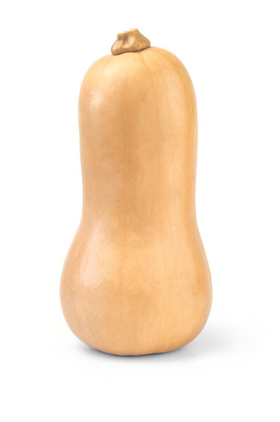 Butternut squash, pumpkin, white background