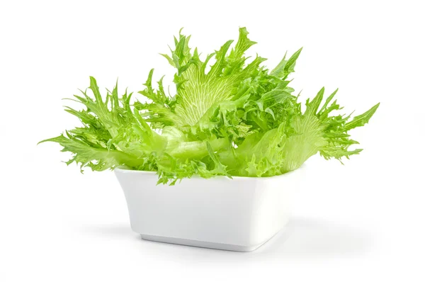 Fresh lettuce leaves in bowl on a white background — Stock Photo, Image