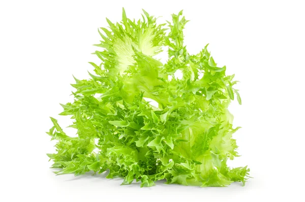 Fresh lettuce over white background — Stock Photo, Image