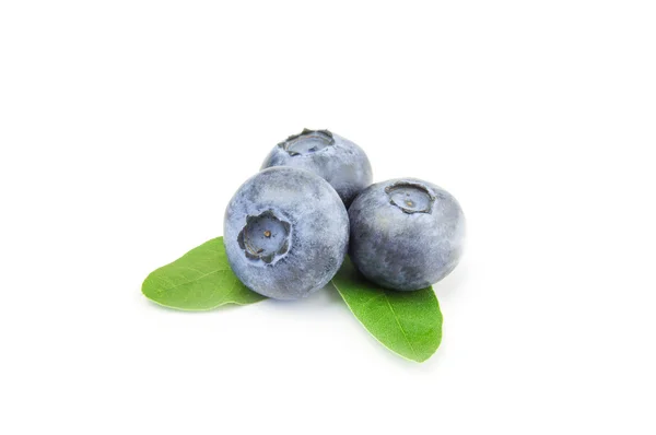 Three fresh blueberries isolated on white — Stock Photo, Image