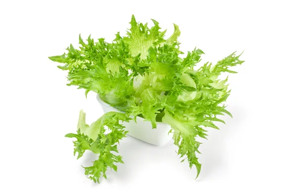 Fresh lettuce in bowl isolated on white — Stock Photo, Image