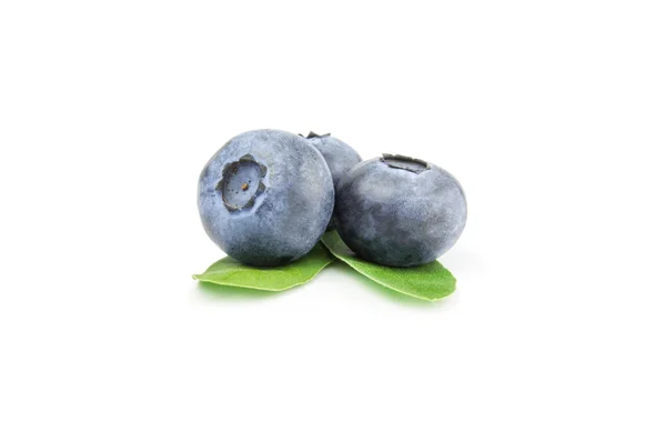 Three ripe blueberries, isolated on white background — Stock Photo, Image