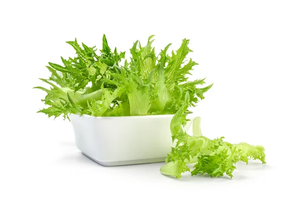 Green leaf of lettuce in bowl isolated on white background. Natural nutrition for diet — Stock Photo, Image