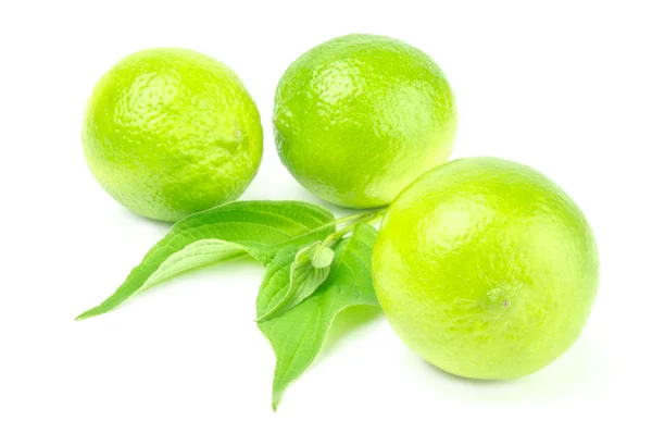 Tre mogna limefrukter isolerade på vit — Stockfoto