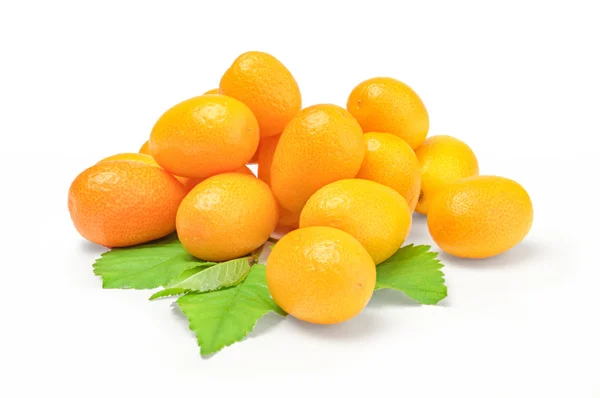 Kumquat com folha em um fundo branco — Fotografia de Stock