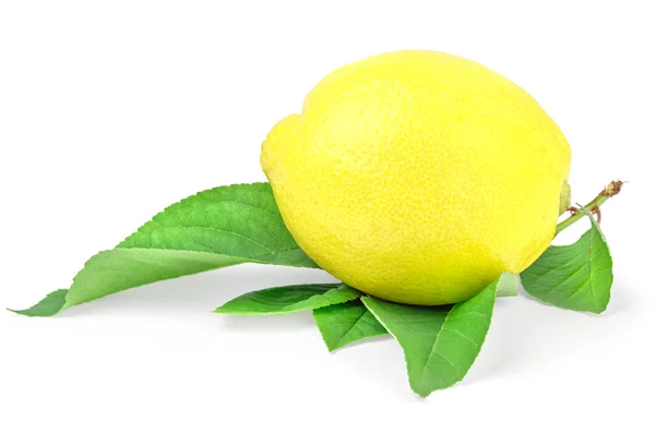 Limão com folhas isoladas sobre fundo branco — Fotografia de Stock