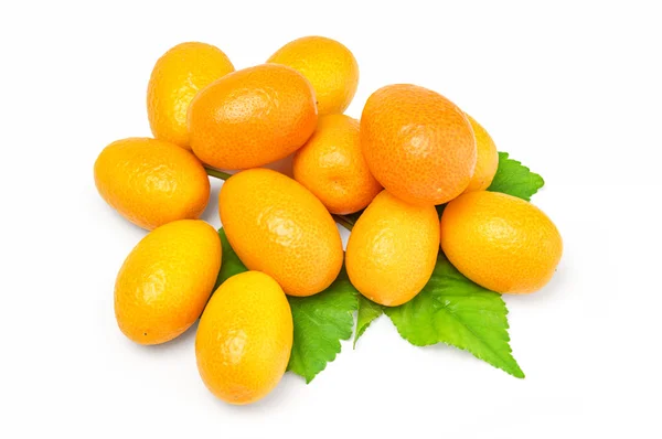 Kumquat mit Blatt auf weißem Hintergrund — Stockfoto