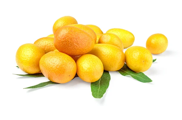 Banda kumquat (cumquat) s listy na bílém pozadí — Stock fotografie