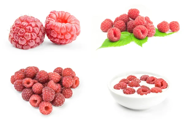 Collage of raspberry on white background — Stock Photo, Image