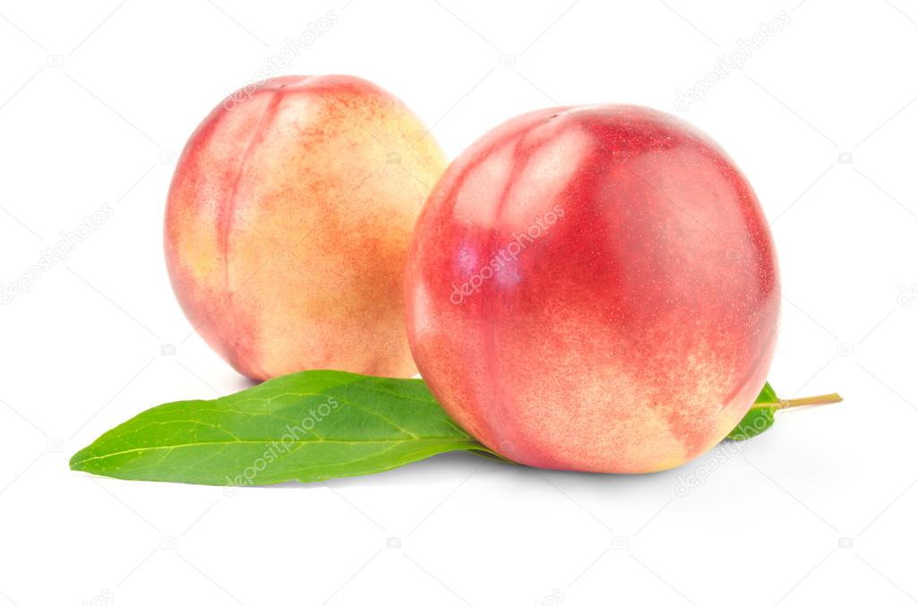 Two nectarines with green leaves over white background