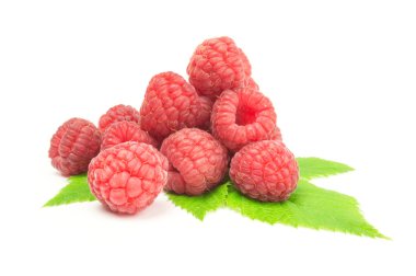 Ahududu izole yaprak yeşil beyaz