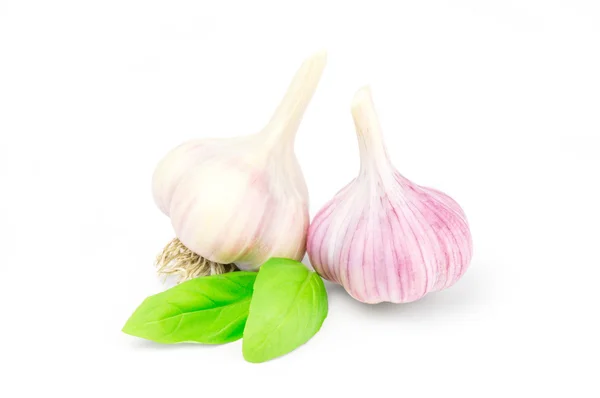 Zwei Köpfe Knoblauch isoliert auf weißem Hintergrund — Stockfoto