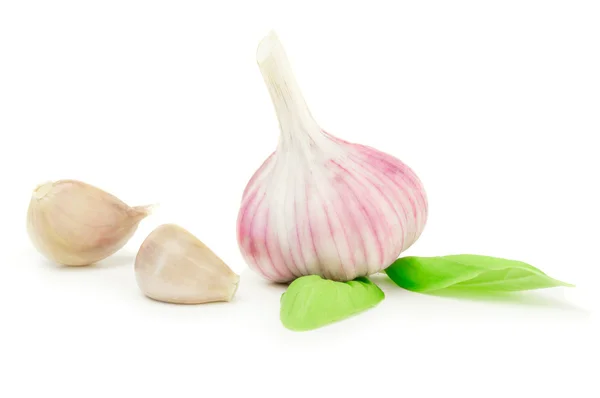 白色背景的大蒜蔬菜 — 图库照片
