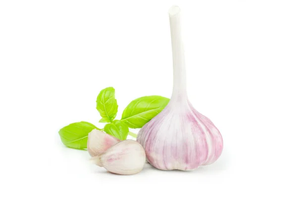 Knoblauch isoliert auf weißem Hintergrund — Stockfoto