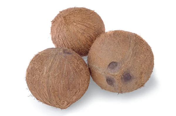 Kolme kookospähkinää valkoisella pohjalla — kuvapankkivalokuva