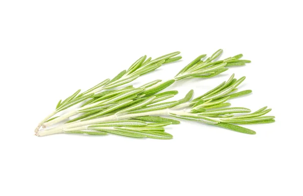 Fresh rosemary isolated on white background — Stock Photo, Image