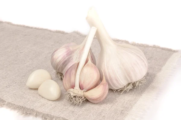 Aglio primo piano vegetale isolato su sfondo bianco — Foto Stock