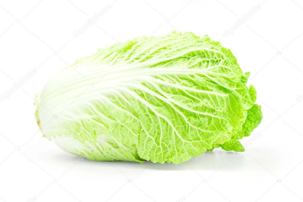 One whole chinese cabbage on a white background