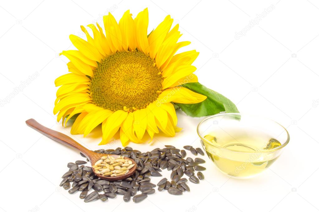Sunflower with oil and seeds on a white background