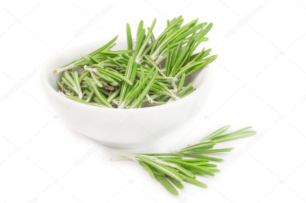Fresh rosemary in a bowl on white