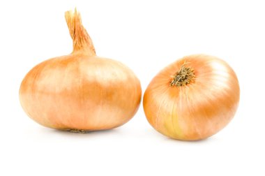 Beyaz bir arka plan üzerine soğan