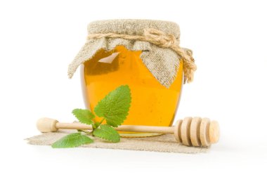 Beyaz arka planda bal arısı.