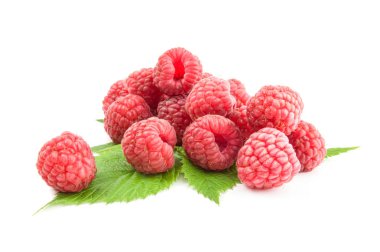 Ahududu meyve bir beyaz arka plan kesme izole