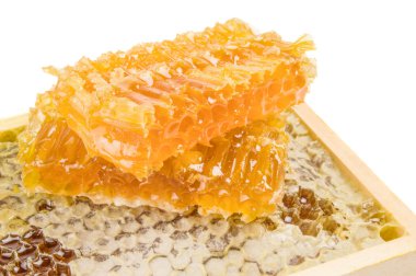 Bir beyaz arka plan kesme izole bal arısı