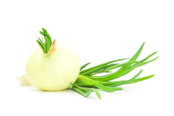 Onion over a white background — Stock Photo, Image