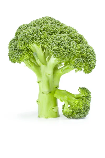 Broccoli freschi crudi isolati su fondo bianco — Foto Stock