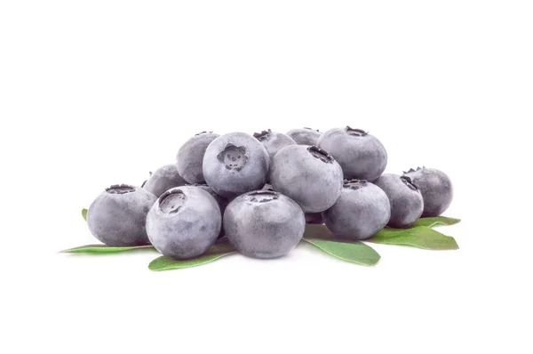 Bilberry isolado em um recorte de fundo branco — Fotografia de Stock