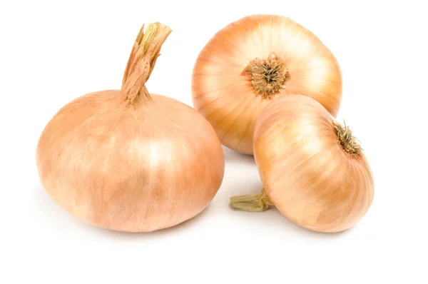 Fresh bulbs of onion isolated on a white background cutout — Stock Photo, Image